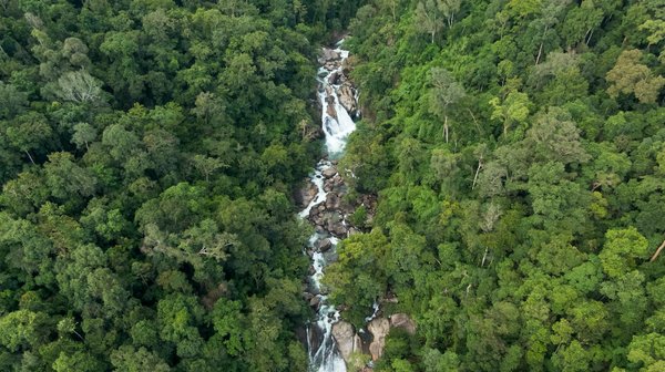 Banque pro idéale : 5 points clés pour choisir