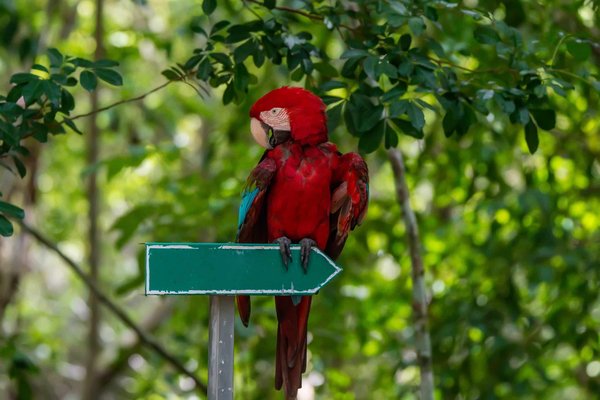 Trouver un emploi qui vous convient : comment y parvenir ?