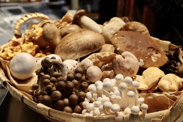 Quels facteurs doivent être pris en compte pour choisir une école de management ?