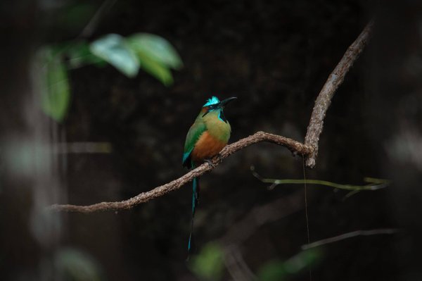 Quel est l'essentiel à savoir sur le keffieh ?